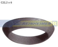 ZT-Ring C22,2*6-356